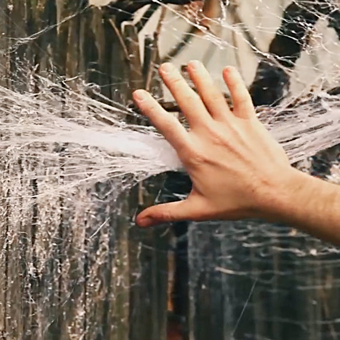 Halloween Spider Web Decorations