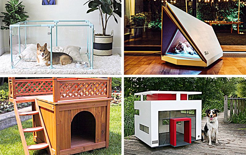 unique dog houses