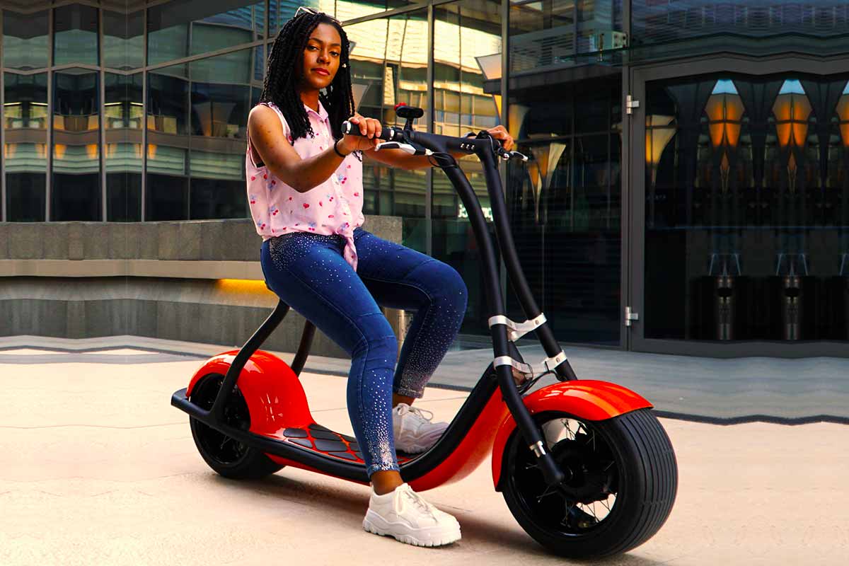 Rolley  A Self Balancing 2-Wheel Electric Scooter - TheSuperBOO!