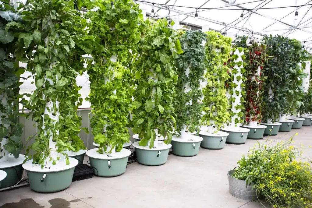 The powerful aeroponic technology that feeds plants with a nutrient-rich water solution.