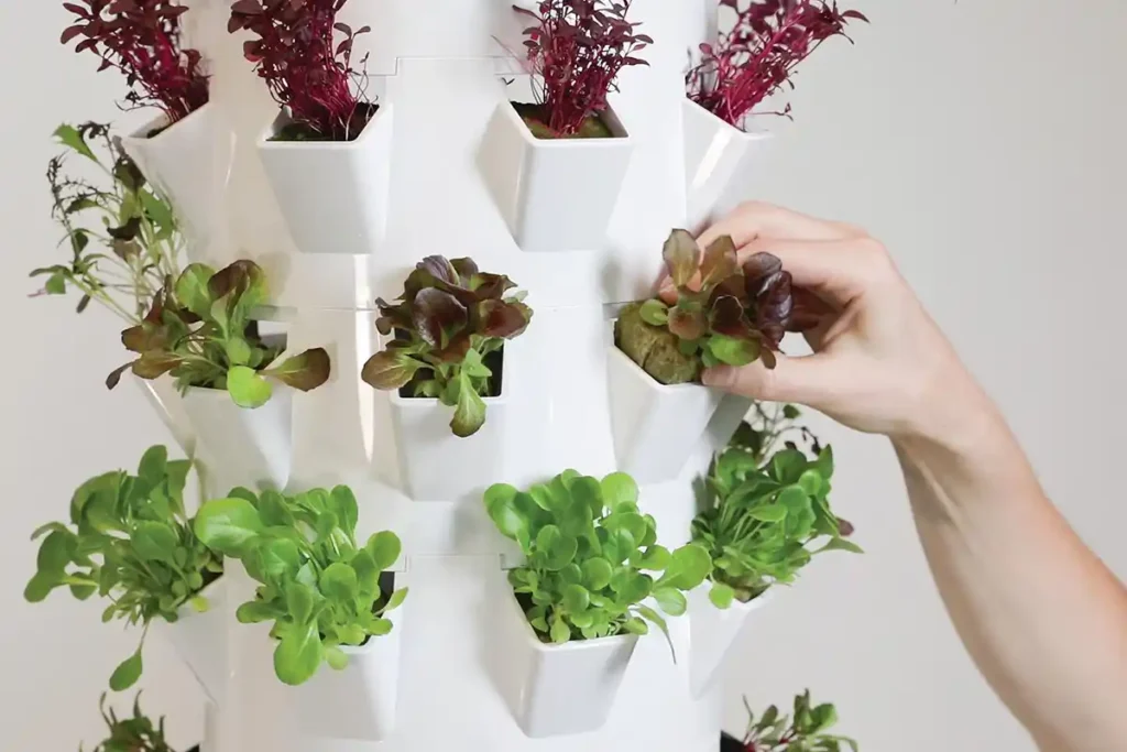 The powerful aeroponic technology that feeds plants with a nutrient-rich water solution.